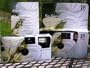10 Pack Calla Lily Disposable Wedding Cameras in Matching Gift Boxes with Table Tents, 35mm, 27 Exposures