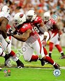 Darnell Dockett , 16x20