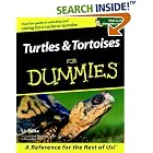 Click here to buy Turtles and Tortoises for Dummies by  Liz Palika.