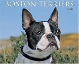 Just Boston Terriers 2008 Wall Calendar