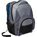 Targus Incognito BTS Backpack Case Designed for 15.6 Inch Laptops TSB15103US Blue with Gray Accents)