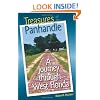 Treasures of the Panhandle: A Journey through West Florida (Florida History and Culture)