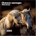 Calendrier 2008 Chevaux sauvages - Wild horses (30X30 cm)