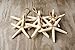 Hinterland Trading White Finger Starfish Ornaments 2
