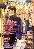 小説 b-Boy (ビーボーイ) 2009年 03月号 [雑誌]