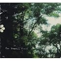 Our Sleepless Forest