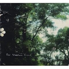 Our Sleepless Forest