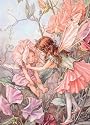 Ravensburger Puzzle - Flower Fairies (1000 pieces)