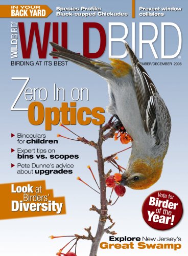 Wildbird (1-year)