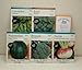Family Garden Variety Collection: Cucumbers, Watermelon, Turnips, Broccoli, Nasturtiums & Basil