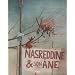 Nasreddine et son �ne