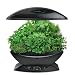 AeroGarden Classic 7-Pod with Gourmet Herb Seed Kit, Black