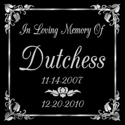 6 x 6 Lazer Gifts Personalized Black Granite Pet Memorial Marker Style Dutchess