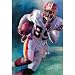 Santana Moss (Running with Football) Sports Poster Print - 11x17