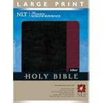 SAVE $9.51 - Premium Slimline Reference Bible NLT, LP, TuTone (Premium Slimline LP: Nltse) $18.46