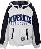 adidas Dallas Mavericks Ash Absolute Hoody Sweatshirt