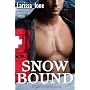 Snowbound