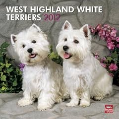 West Highland White Terriers 2012