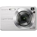 Sony Cybershot DSCW120 7.2MP Digital Camera with 4x Optical Zoom with Super Steady Shot (Silver)