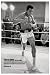 ���m�N���t�H�g�wMUHAMMAD ALI/���n���h�E�A���sPPP022�t�x�|�X�^�[