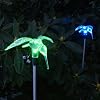 Solar Garden Hummingbird Stake Lights, 2 Piece