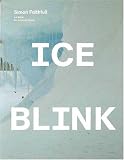Ice Blink: An Antarctic Essay