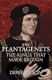 The Plantagenets : the kings that made Britain