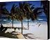 Cancun Vacation Canvas Print / Canvas Art - Artist Marsha Heiken