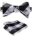 SetSense Men's Plaid Jacquard Woven Self Bow Tie Set
