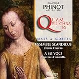 Phinot: Quam Pulchra Es