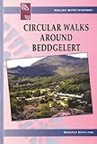 Circular walks around Beddgelert