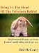 Bring Us The Head Of The Velveteen Rabbit