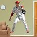 MLB Roy Halladay Vinyl Wall Graphic Decal Sticker Poster