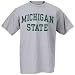 NCAA Michigan State Spartans Ash Arch Logo T-shirt