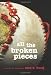 All The Broken Pieces by Ann Burg