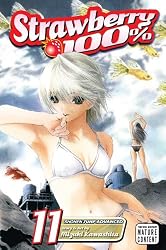 Strawberry 100%, Vol. 11 (Strawberry 100 %)