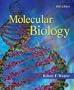 Molecular Biology