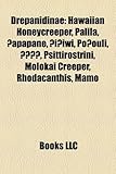 Drepanidinae: Hawaiian Honeycreeper, Palila, ?Apapane, ?I?iwi, Po?ouli,, Psittirostrini, Molokai Creeper, Rhodacanthis, Mamo-