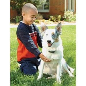 PetSafe Extra Wireless Fence Receiver, PIF-275-19