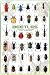 Beetles Poster (#38)