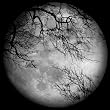 LUNA SEA【ジャケットB】(DVD付)