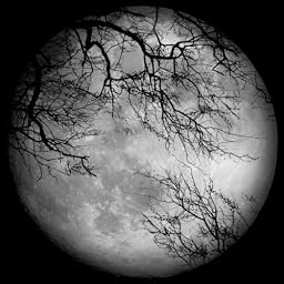 LUNA SEA【ジャケットB】(DVD付)