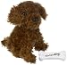 Stadlbauer 12070214 - Nintendogs klein