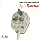 Air I Breathe by Badmarsh & Shri