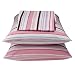 Circo Pink & Brown Stripe Sheet Set - Twin
