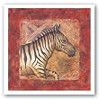 Zebra Safari by Terri Cook 12"x12" Art Print Poster