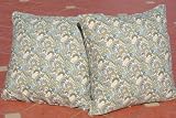 Set of 2 Premium Indoor or Outdoor Throw Pillows - Lexington