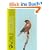 WorldChanging (World Changing): Das Handbuch der Ideen f�r eine bessere Zukunft