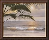 Paradiso Framed Canvas Art by Diane Romanello,32.1 x 26.1 Framed