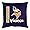 Minnesota Vikings